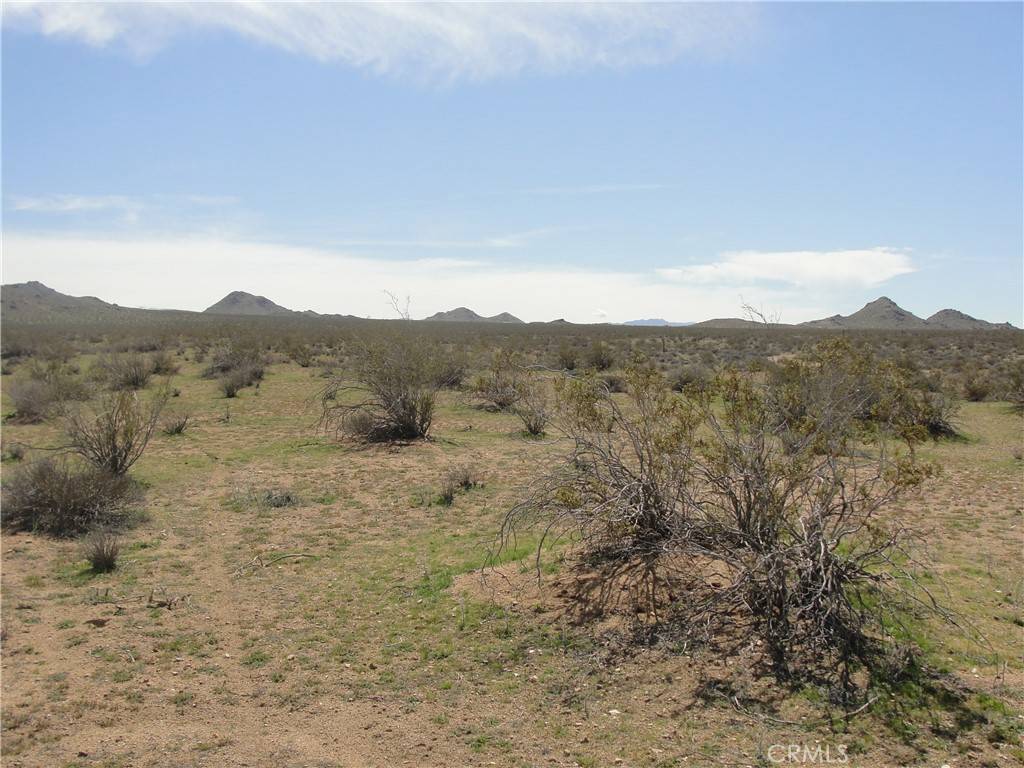 Apple Valley, CA 92307,0 CHIPPEWA