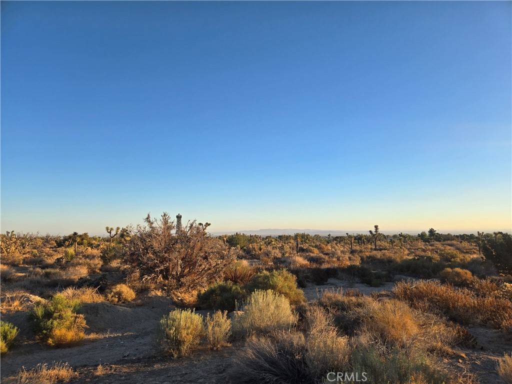 Phelan, CA 92371,4044 Nielson RD