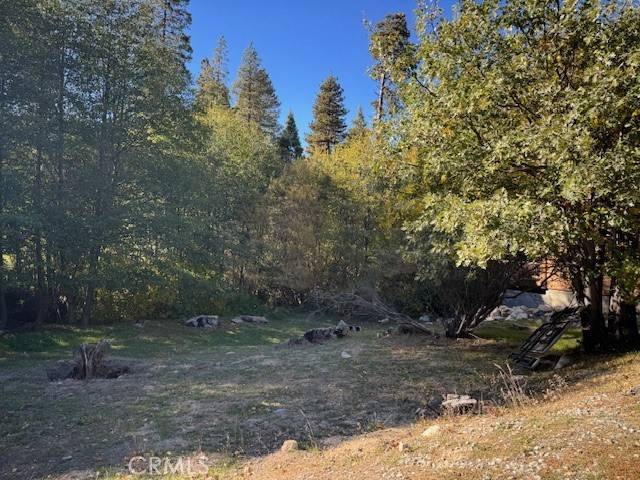 Cedar Glen, CA 92321,430 Alder LN
