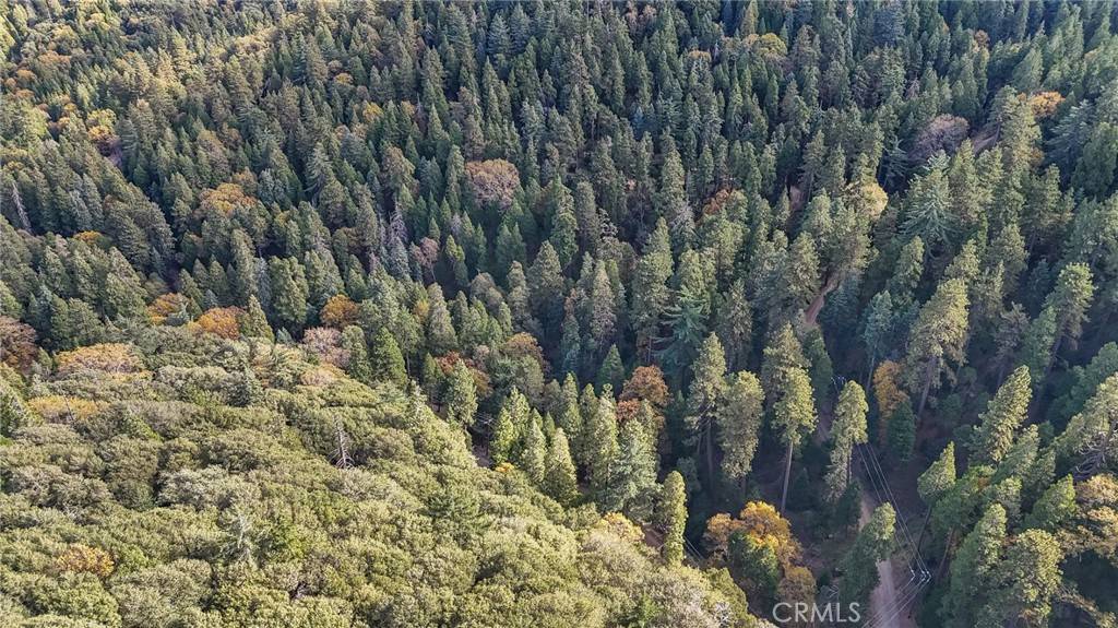 Cedarpines Park, CA 92322,0 Deer Run RD