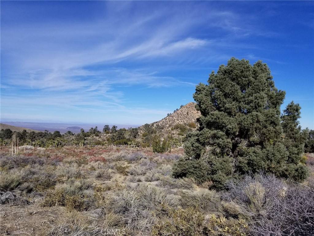 Llano, CA 93544,0 Vac/Vic Avenue Z14/235 Ste