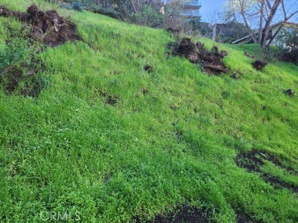 Hollywood Hills, CA 90068,7218 Sunnydip TRL