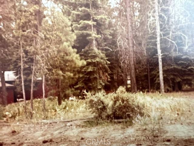 South Lake Tahoe, CA 96150,1124 Tata LN