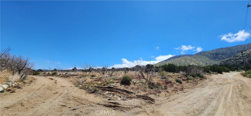Littlerock, CA 93543,29500 106th ST E