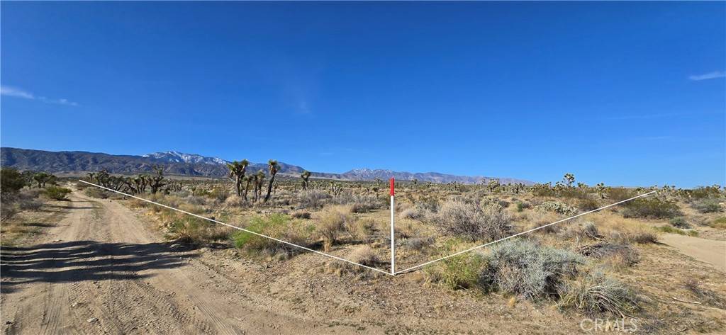 Llano, CA 93544,22000 Avenue X