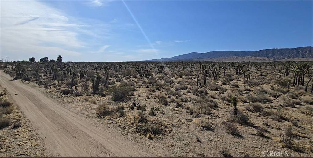 Llano, CA 93544,22000 Avenue X