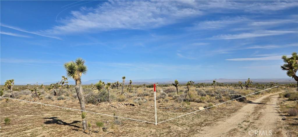 Llano, CA 93544,22000 Avenue X