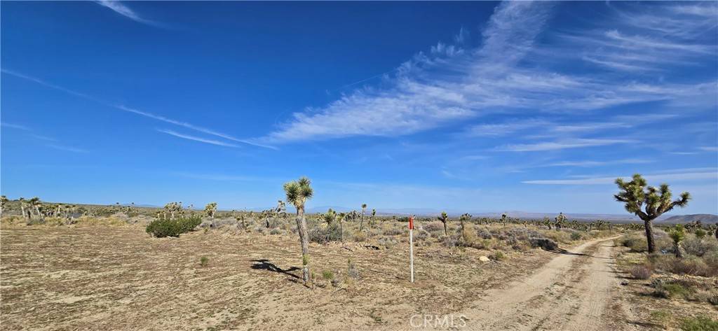 Llano, CA 93544,22000 Avenue X