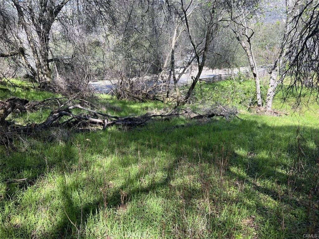 Three Rivers, CA 93271,45580 Sierra DR