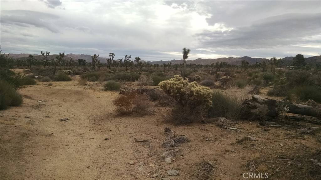 Yucca Valley, CA 92284,0 Church