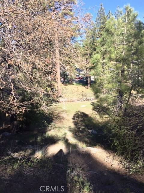 Big Bear, CA 92315,0 Talmadge