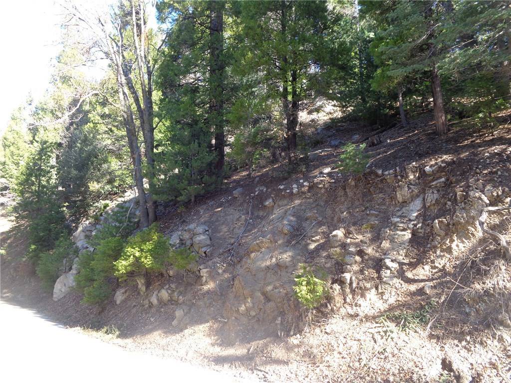 Crestline, CA 92325,0 Balfrin DR