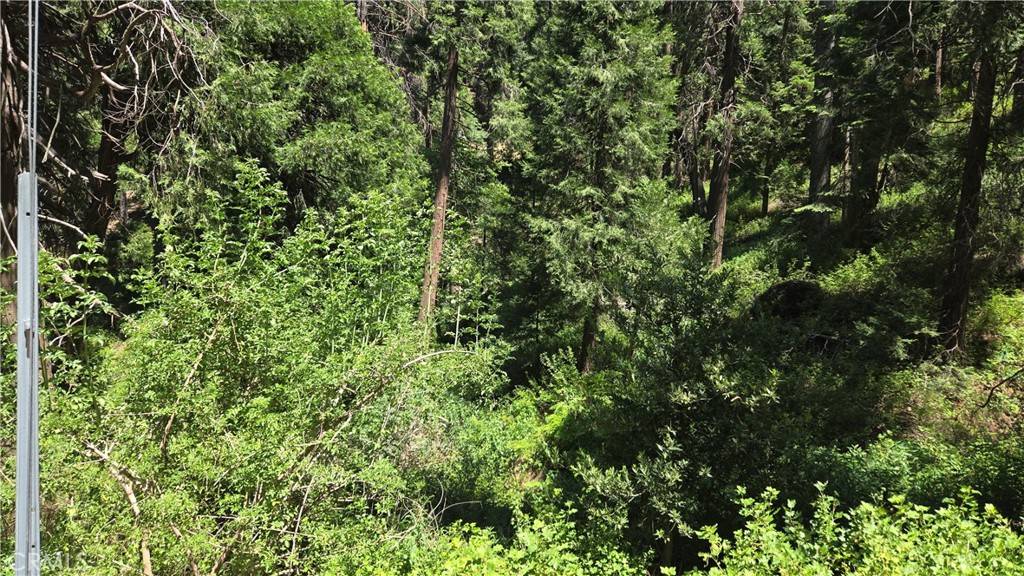 Cedarpines Park, CA 92322,0 Burnt Mill Canyon Rd