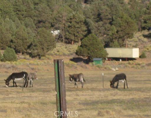 Big Bear, CA 92314,2151 Erwin Ranch RD