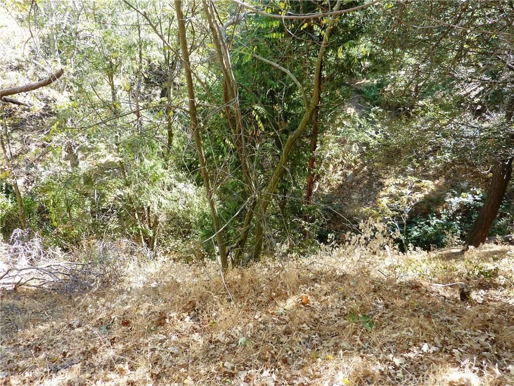 Crestline, CA 92325,0 Shady Dell