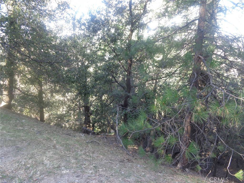 Crestline, CA 92325,72 Lot Chillon