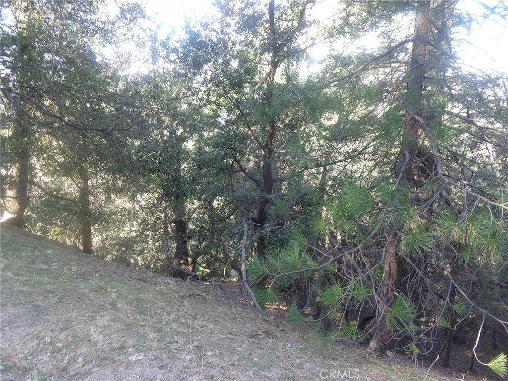 Crestline, CA 92325,72 Lot Chillon