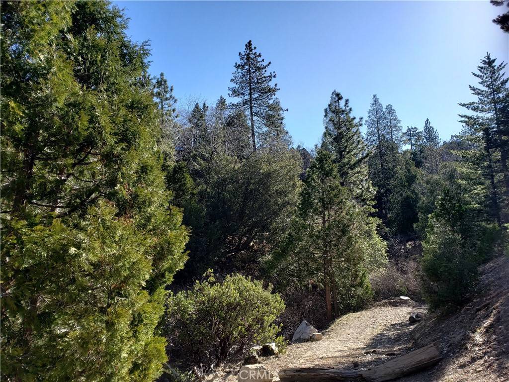 Lake Arrowhead, CA 92352,985 Brentwood DR