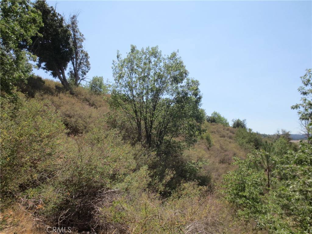 Cedar Glen, CA 92321,0 Fir/Hickory DR