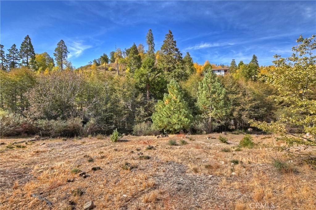 Cedar Glen, CA 92321,0 Alder LN