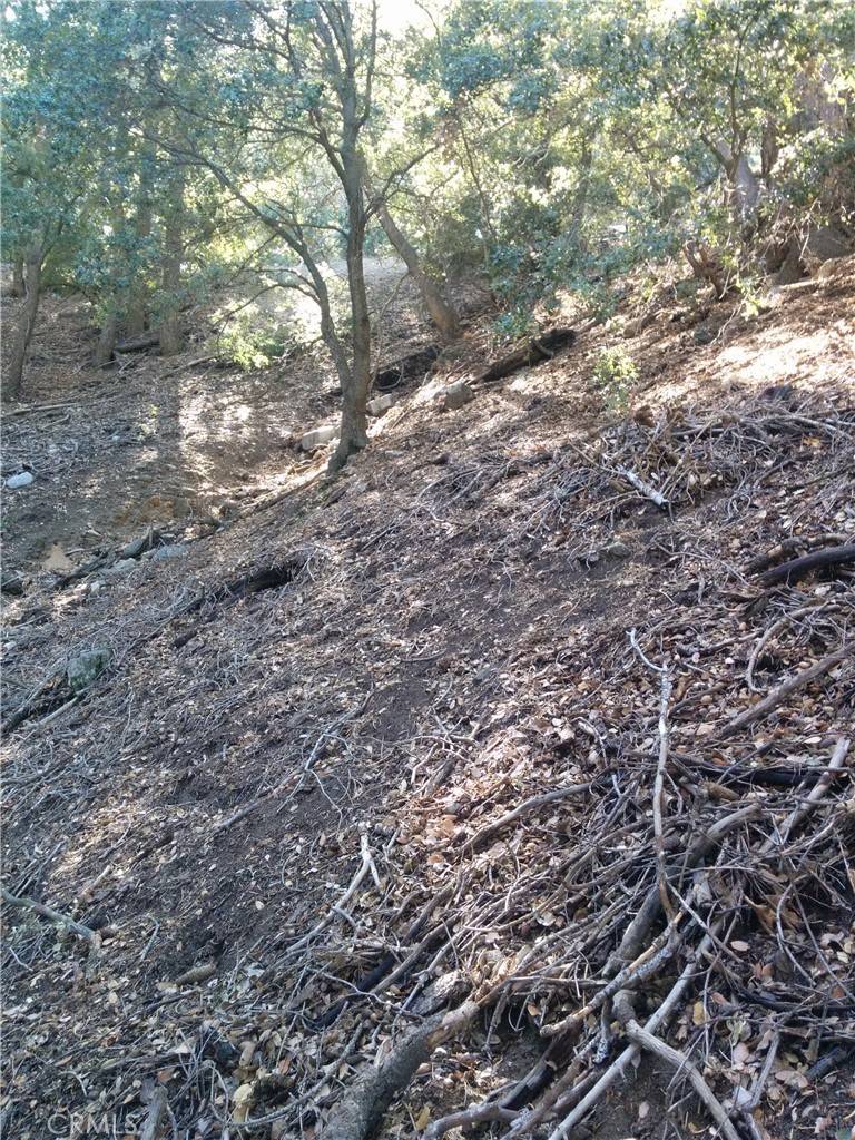 Crestline, CA 92325,0 CHILLION DR