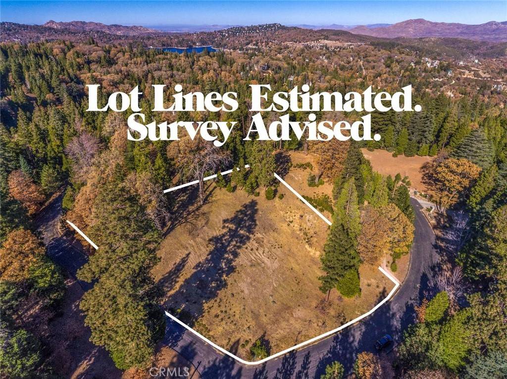 Lake Arrowhead, CA 92352,29214 Pigeon Hawk