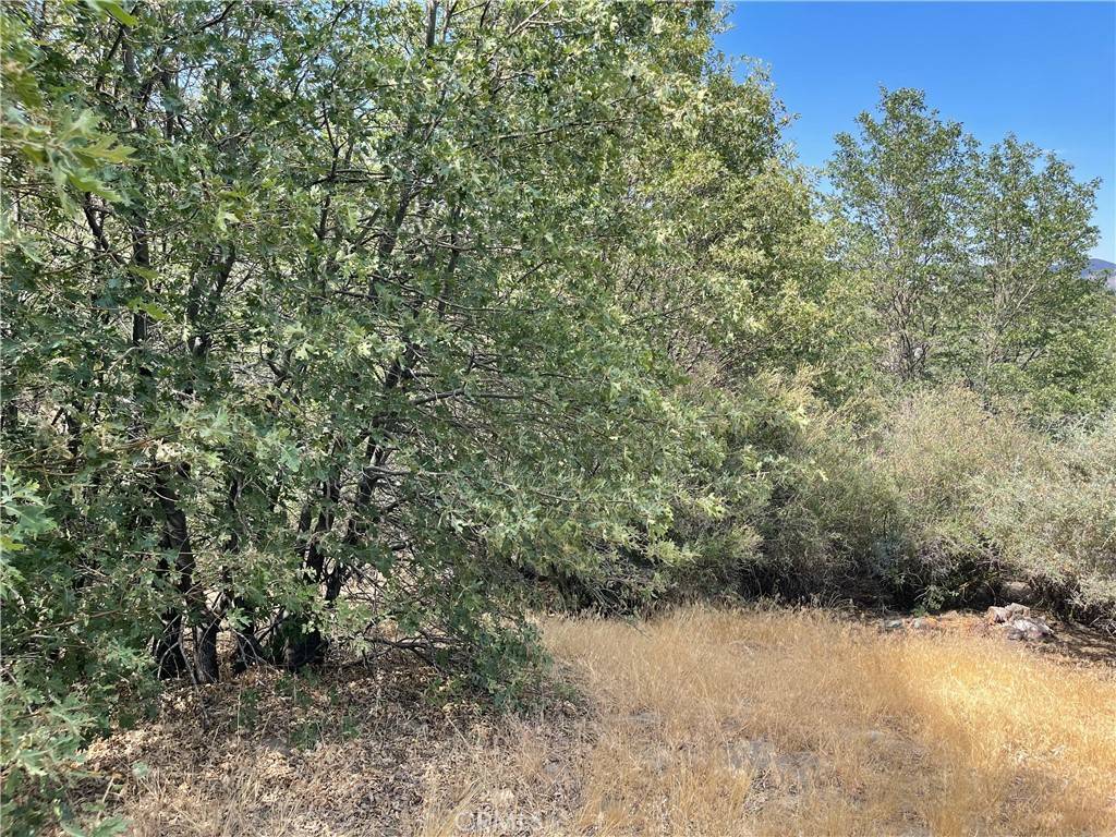 Cedar Glen, CA 92321,671 Hill LN