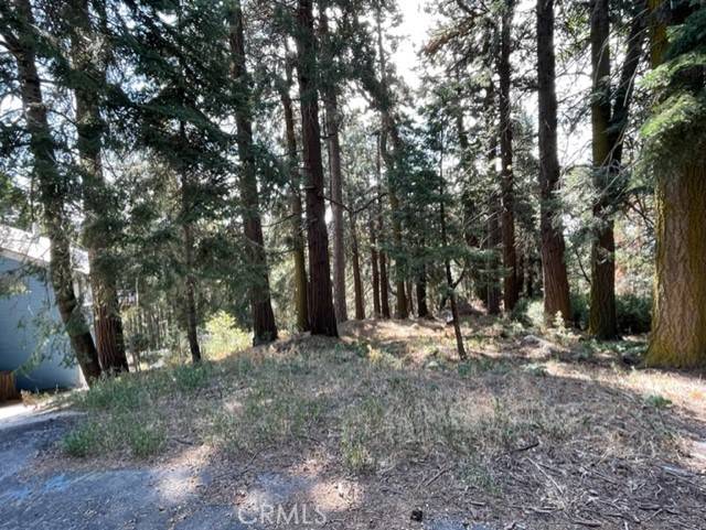 Cedarpines Park, CA 92322,0 Lakeland View