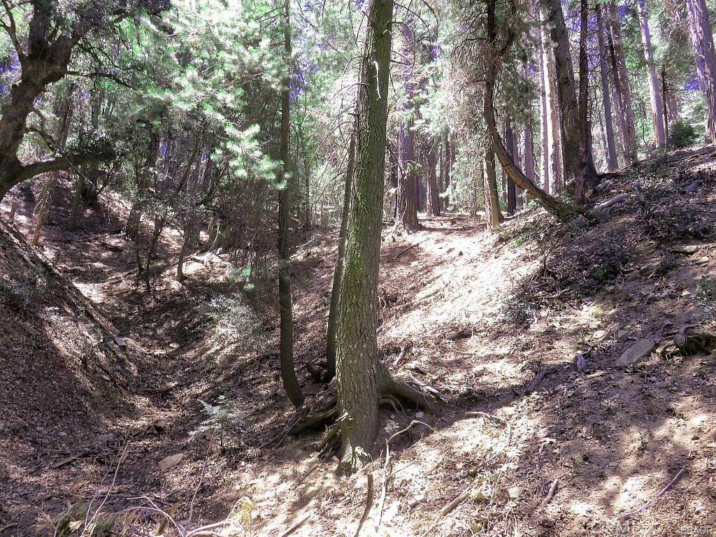 Cedarpines Park, CA 92322,8 Mojave River RD