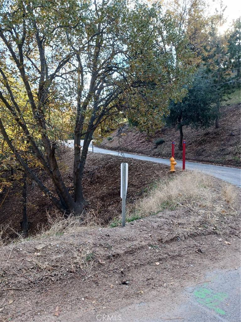 Crestline, CA 92325,24764 Edelwiess DR