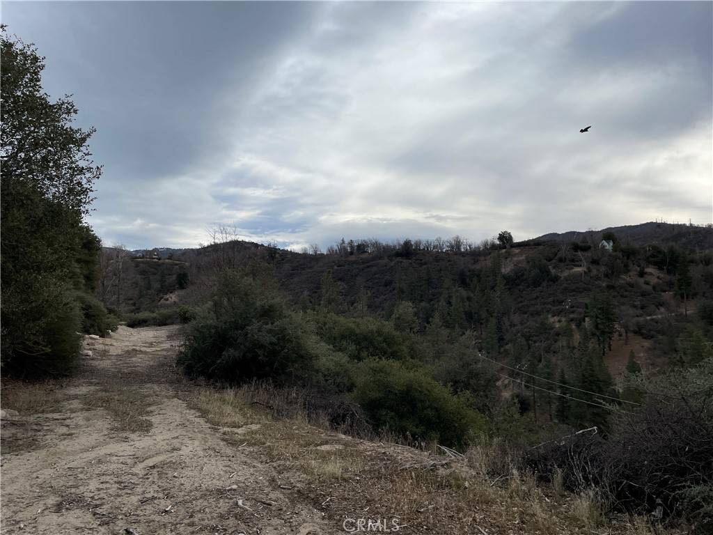 Cedar Glen, CA 92321,29608 Torrey RD