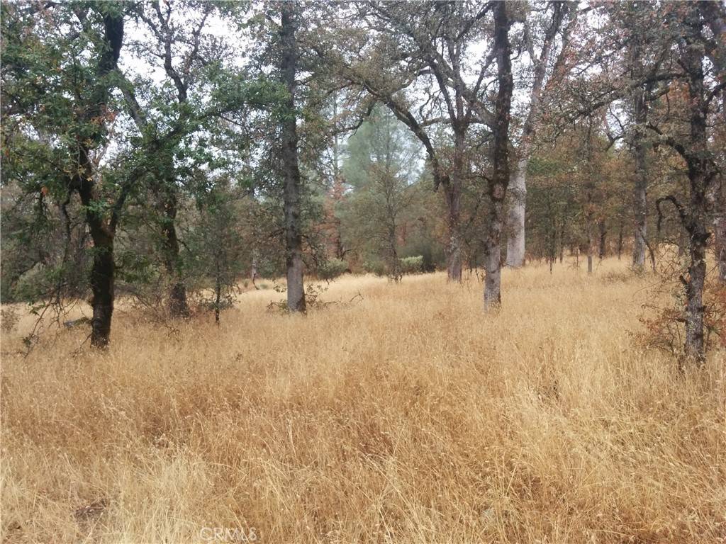 Oak Run, CA 96069,0 DONKEY MINE RD