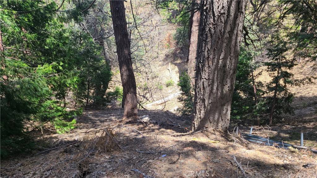 Cedar Glen, CA 92321,29186 Arrowhead DR
