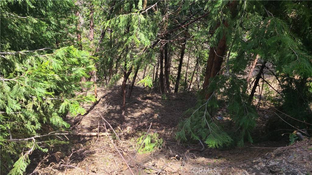 Cedar Glen, CA 92321,29186 Arrowhead DR