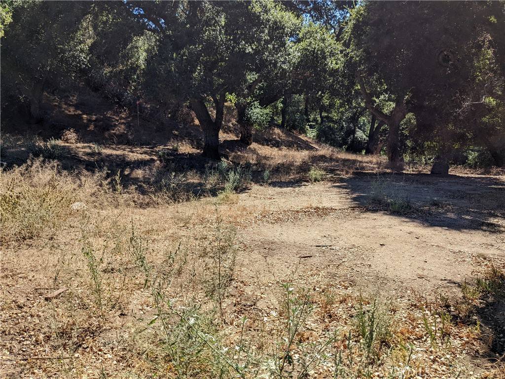 Green Valley, CA 91350,0 San Francisquito Cyn RD