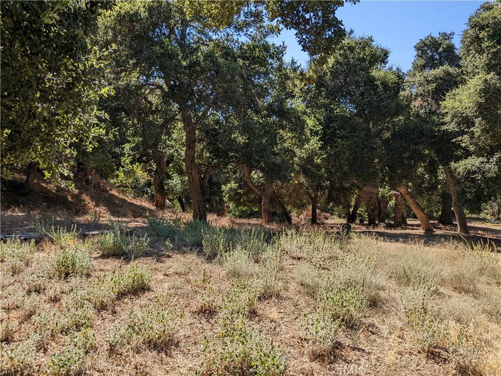 Green Valley, CA 91350,0 San Francisquito Cyn RD