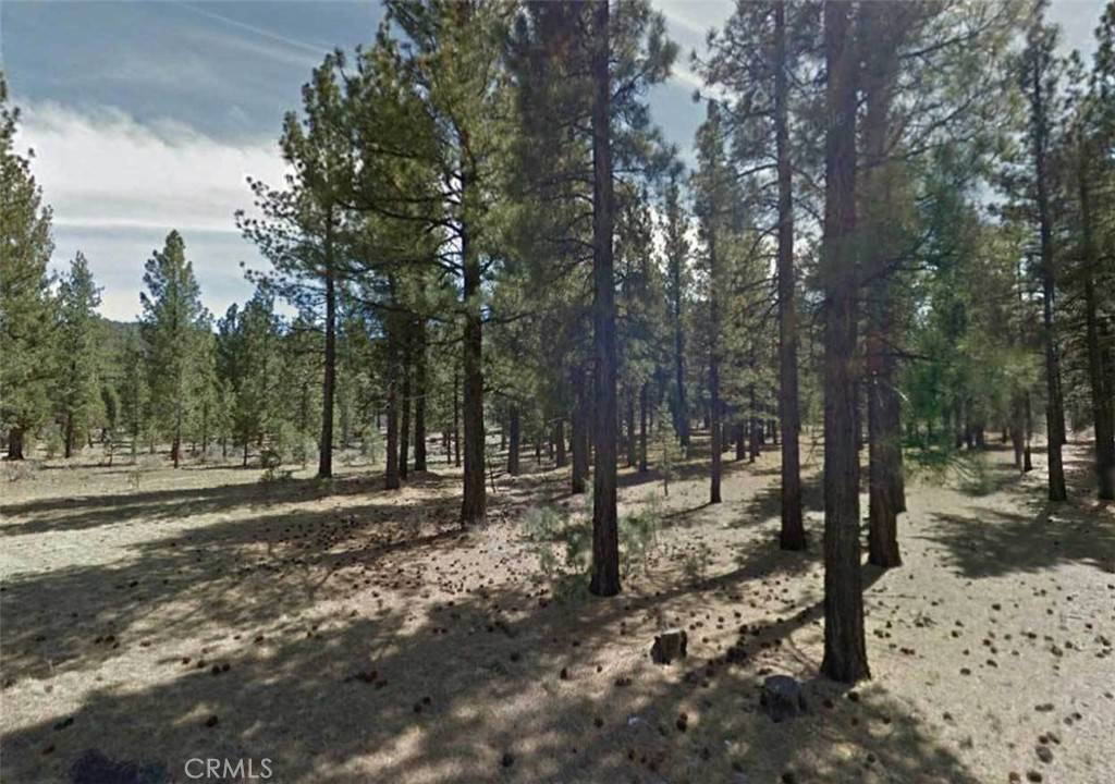 Big Bear, CA 92314,0 Lot 59 Avenue E