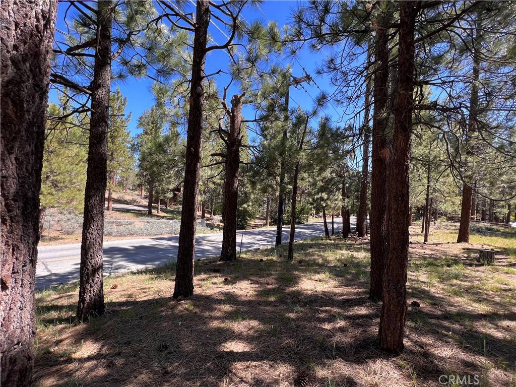 Big Bear Lake, CA 92315,39761 Lakeview DR