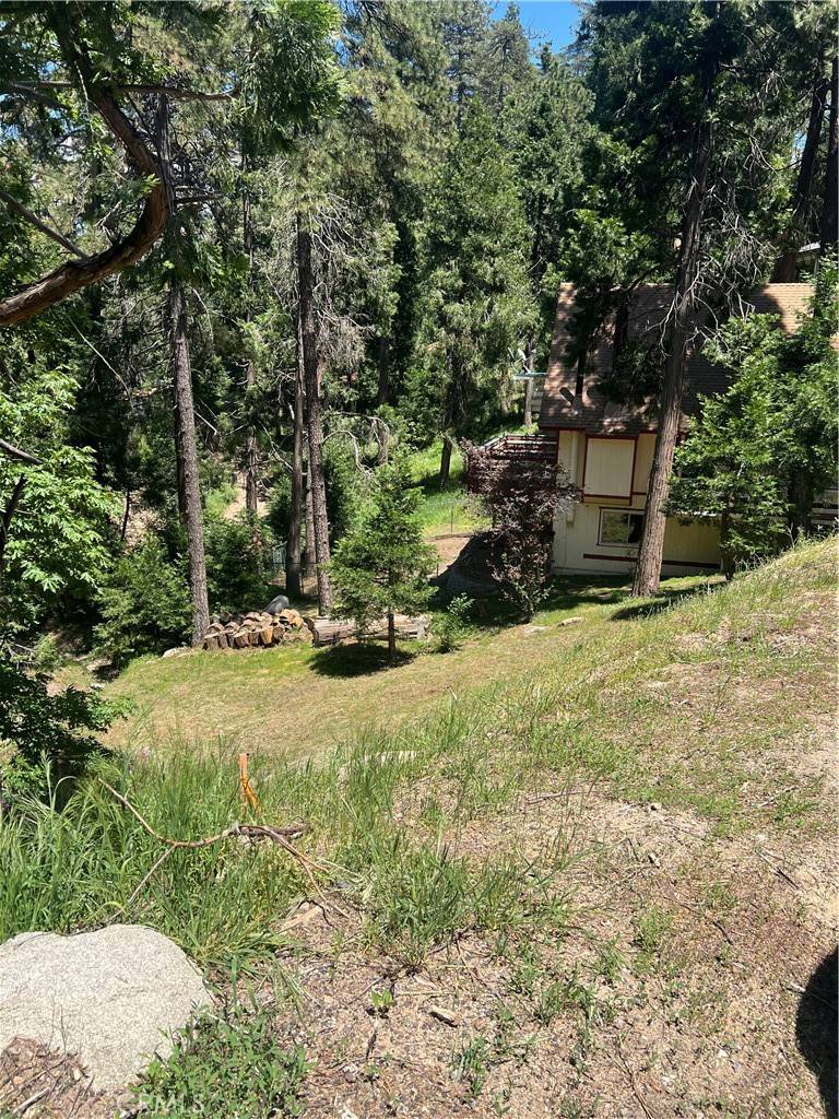 Crestline, CA 92325,24580 Bernard DR
