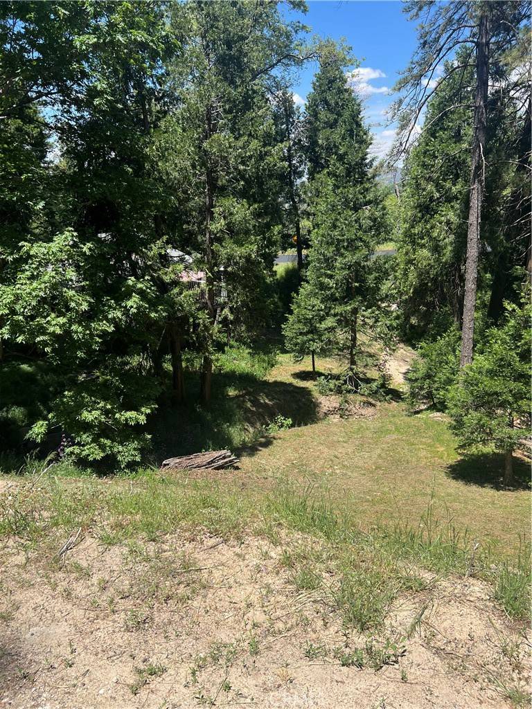 Crestline, CA 92325,24580 Bernard DR