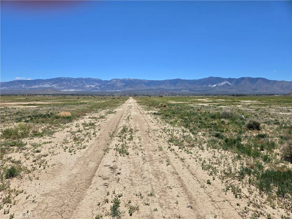 Lucerne Valley, CA 92356,0 Wilderness RD