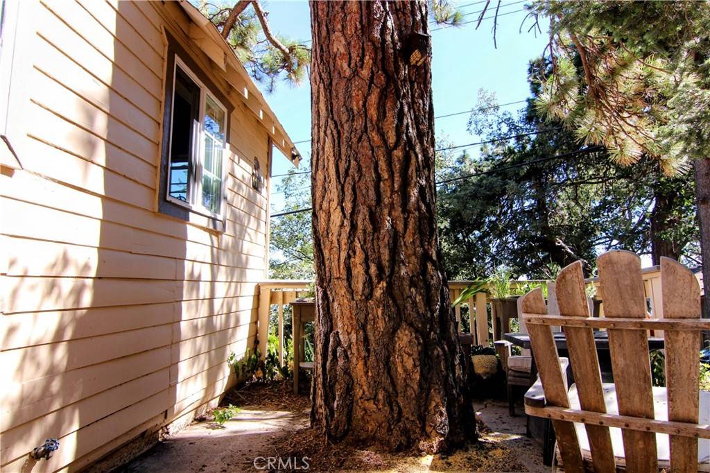 Rimforest, CA 92378,1109 Scenic WAY