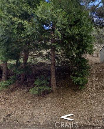 Crestline, CA 92325,0 Dart Canyon RD