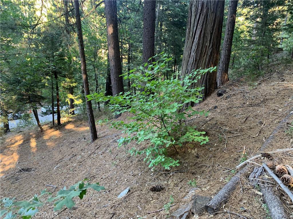 Twin Peaks, CA 92391,0 Lake Forest DR