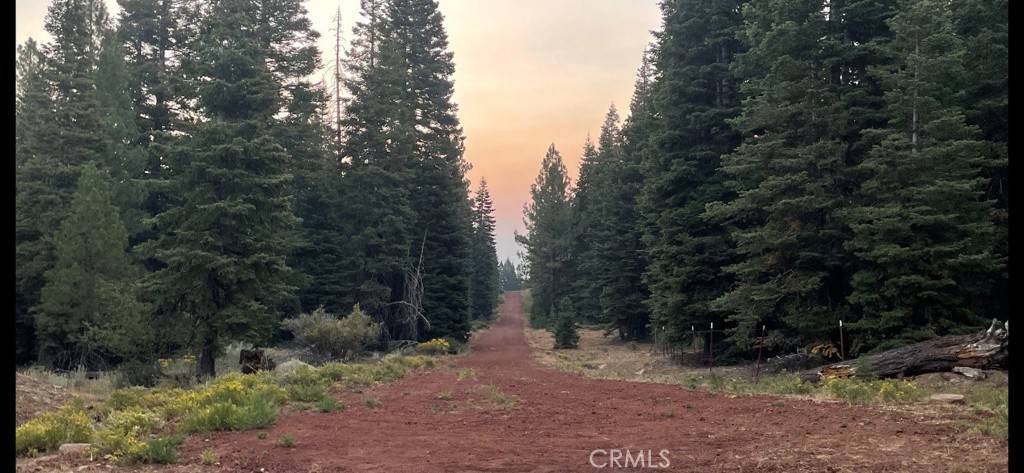 Alturas, CA 96101,22 Eagle DR