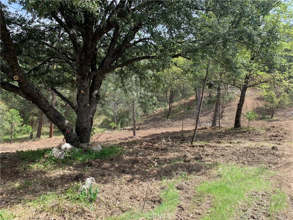 Oakhurst, CA 93644,222 Rd 222