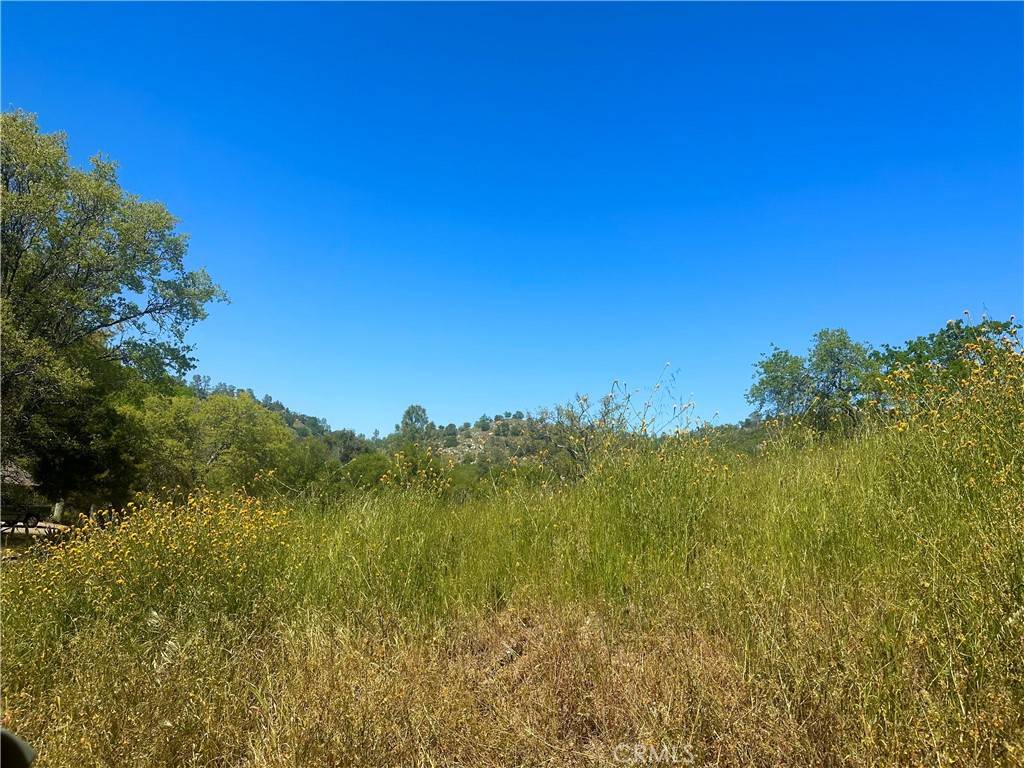 Coarsegold, CA 93614,0 N Dome DR