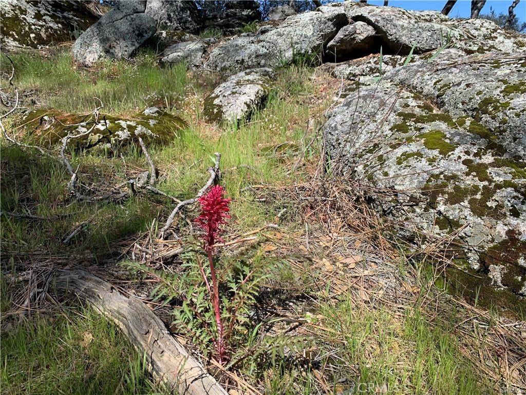 Coarsegold, CA 93614,123 Quartz Mountain