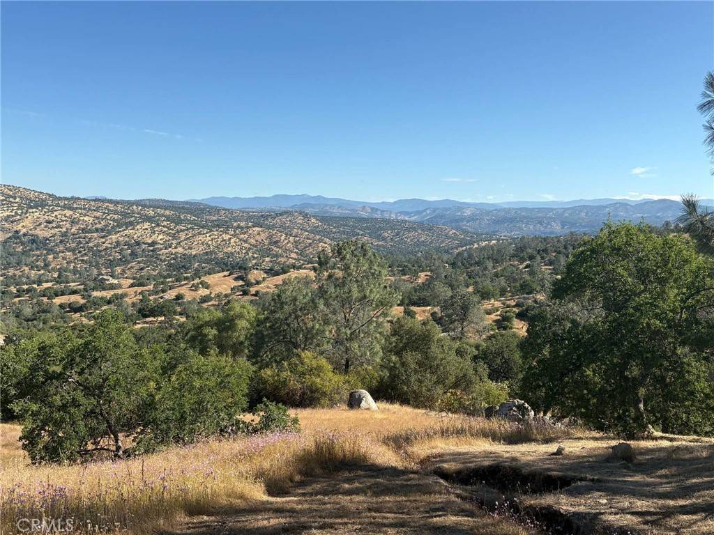 Coarsegold, CA 93614,29777 Lilley Mountain CT