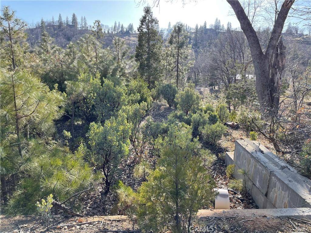 North Fork, CA 93643,59479 Cascadel DR
